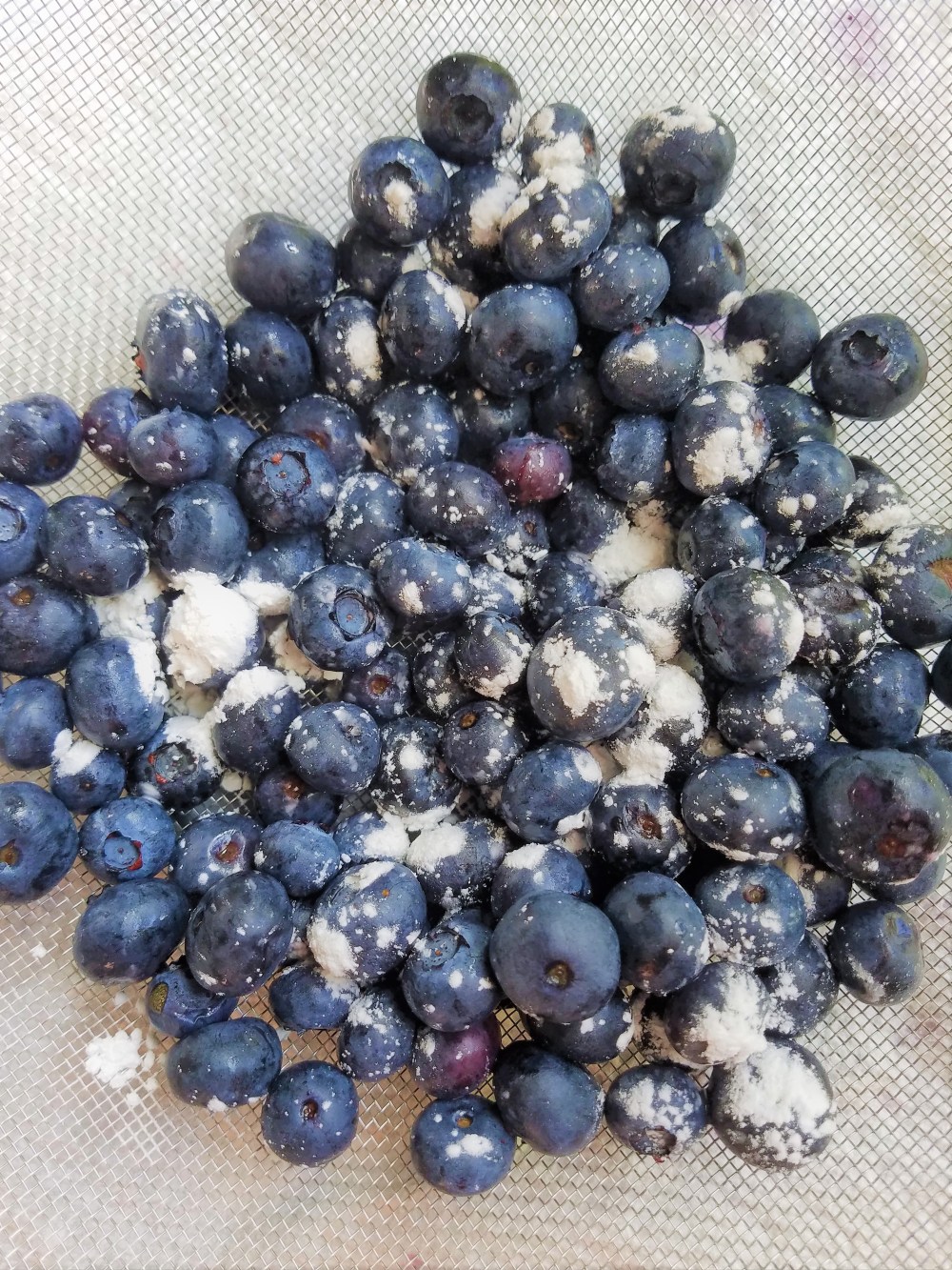 Blog Blueberries.jpg